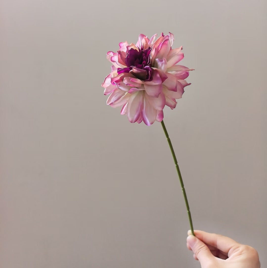 Levensechte Dahlia Steel