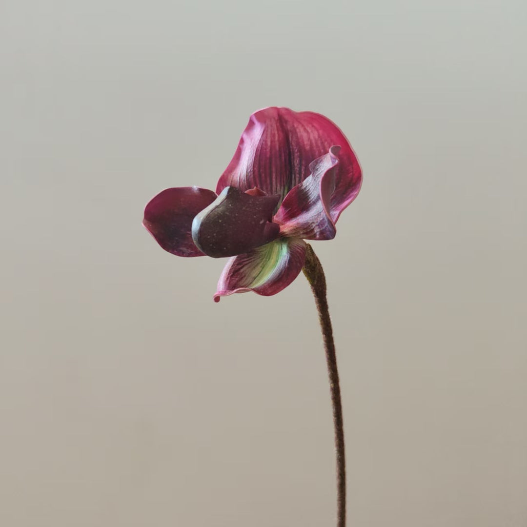 Realistische Orchidee Stam Vaas Decoratie