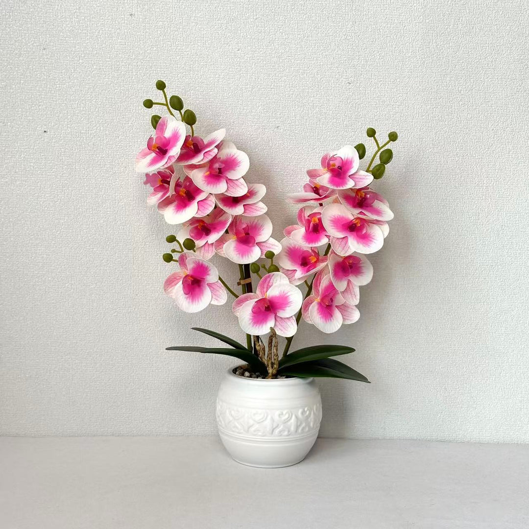 Decoratieve Orchid voor Tafelblad Huisdecoratie