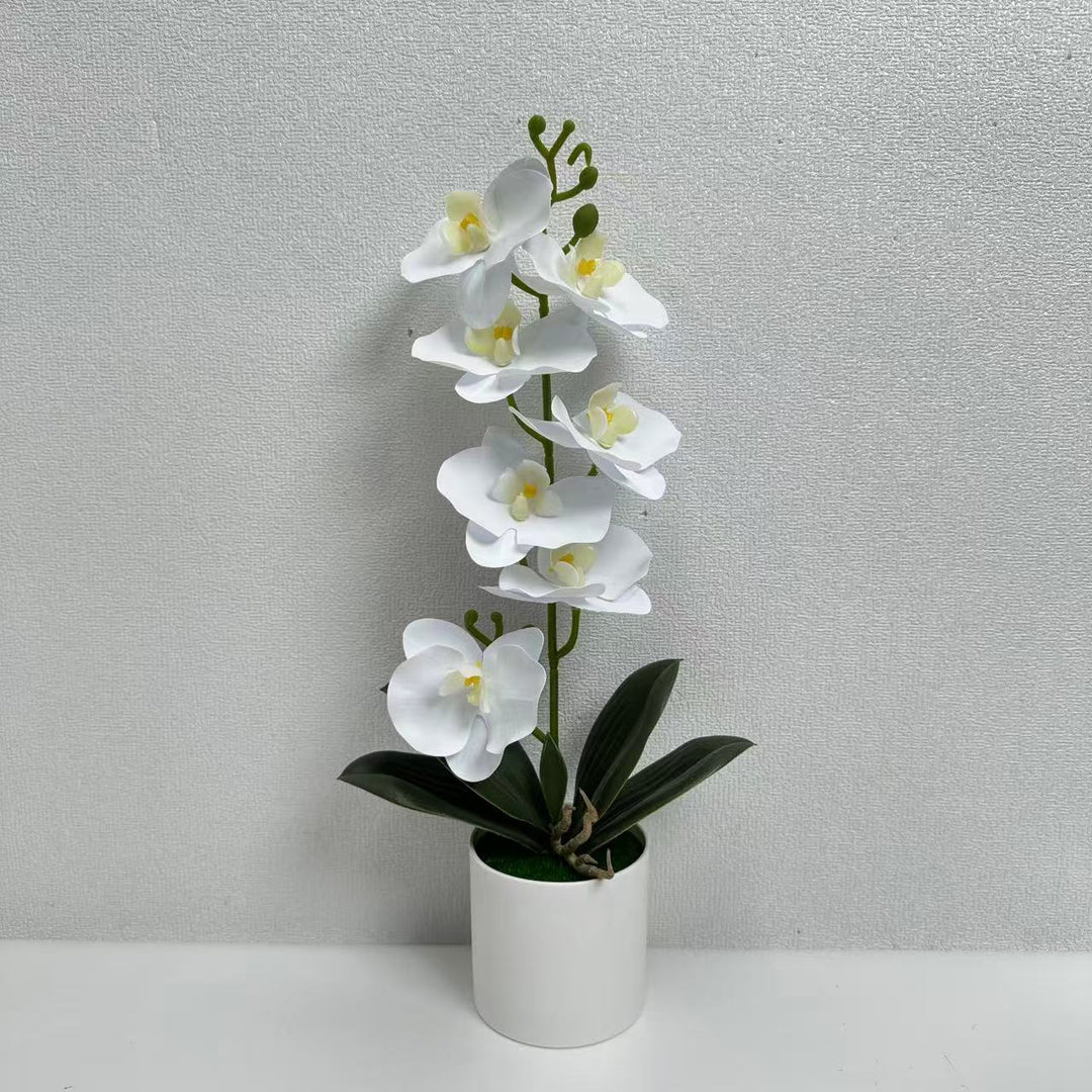Levensechte Decoratieve Orchidee Plant voor Binnengebruik
