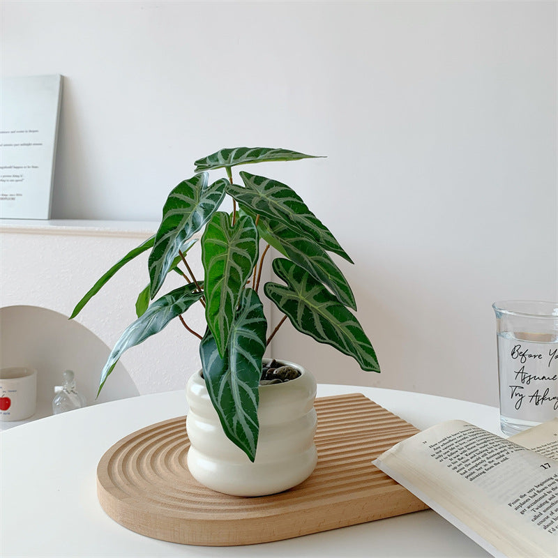 Decoratieve Potplanten Kunstplant