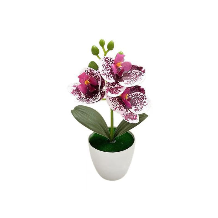 Levensechte Orchidee Bloemarrangement