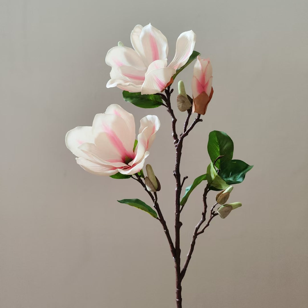 Realistische Magnolia Bloesem Steel