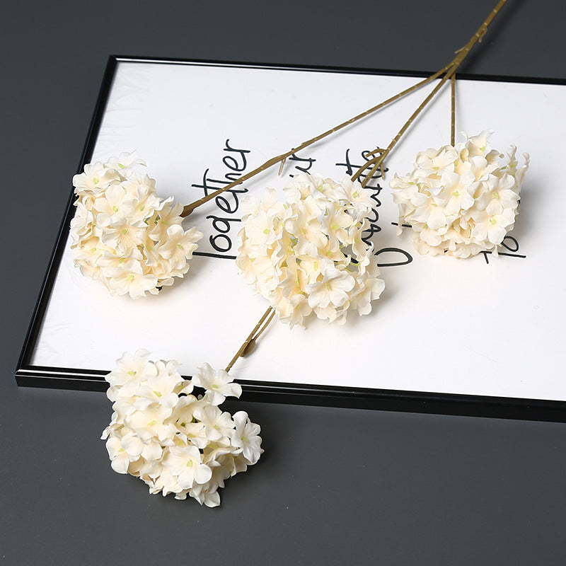 Decoratieve Gedroogde Bloemenstengel voor Hu decoration