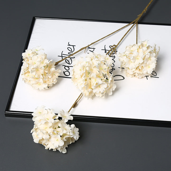 Decoratieve Gedroogde Bloemenstengel voor Hu decoration