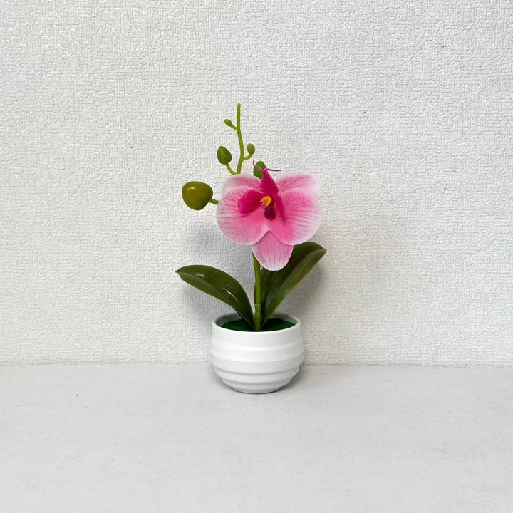 Levensechte Orchidee Bloempot Decoratie