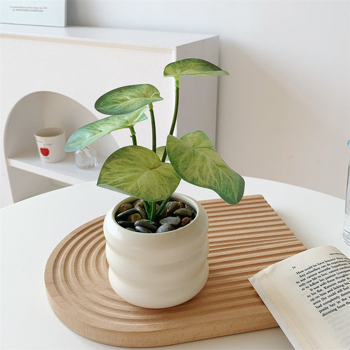 Decoratieve Potplanten Kunstplant