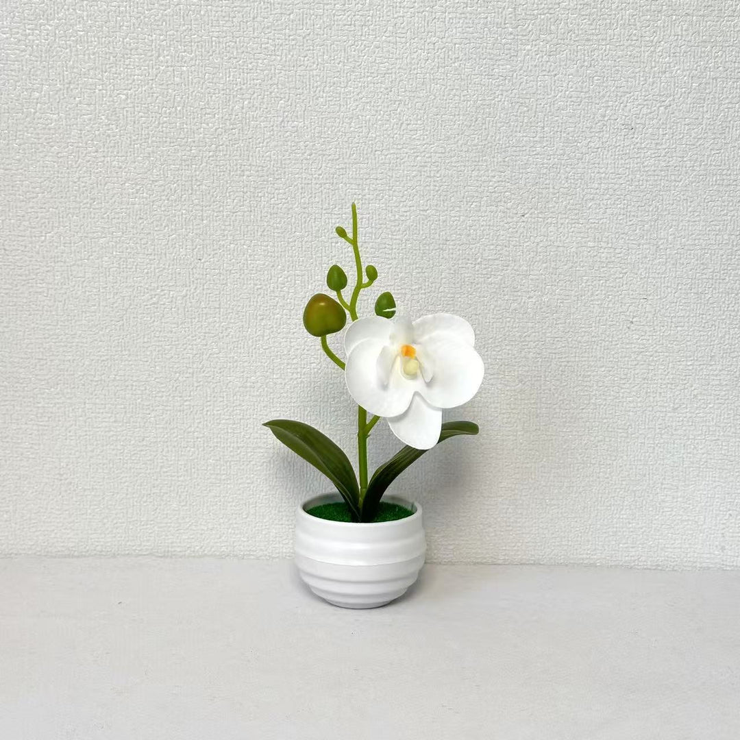 Levensechte Orchidee Bloempot Decoratie