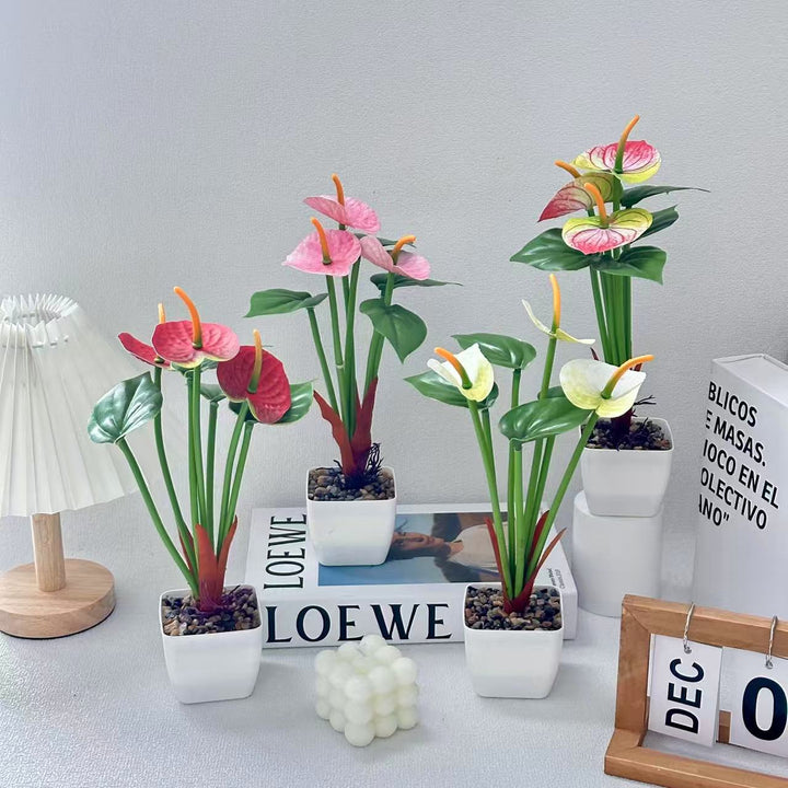 Realistische Anthurium Planten Arrangement