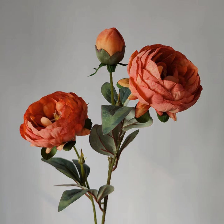 Elegante Pioenbloem Steel