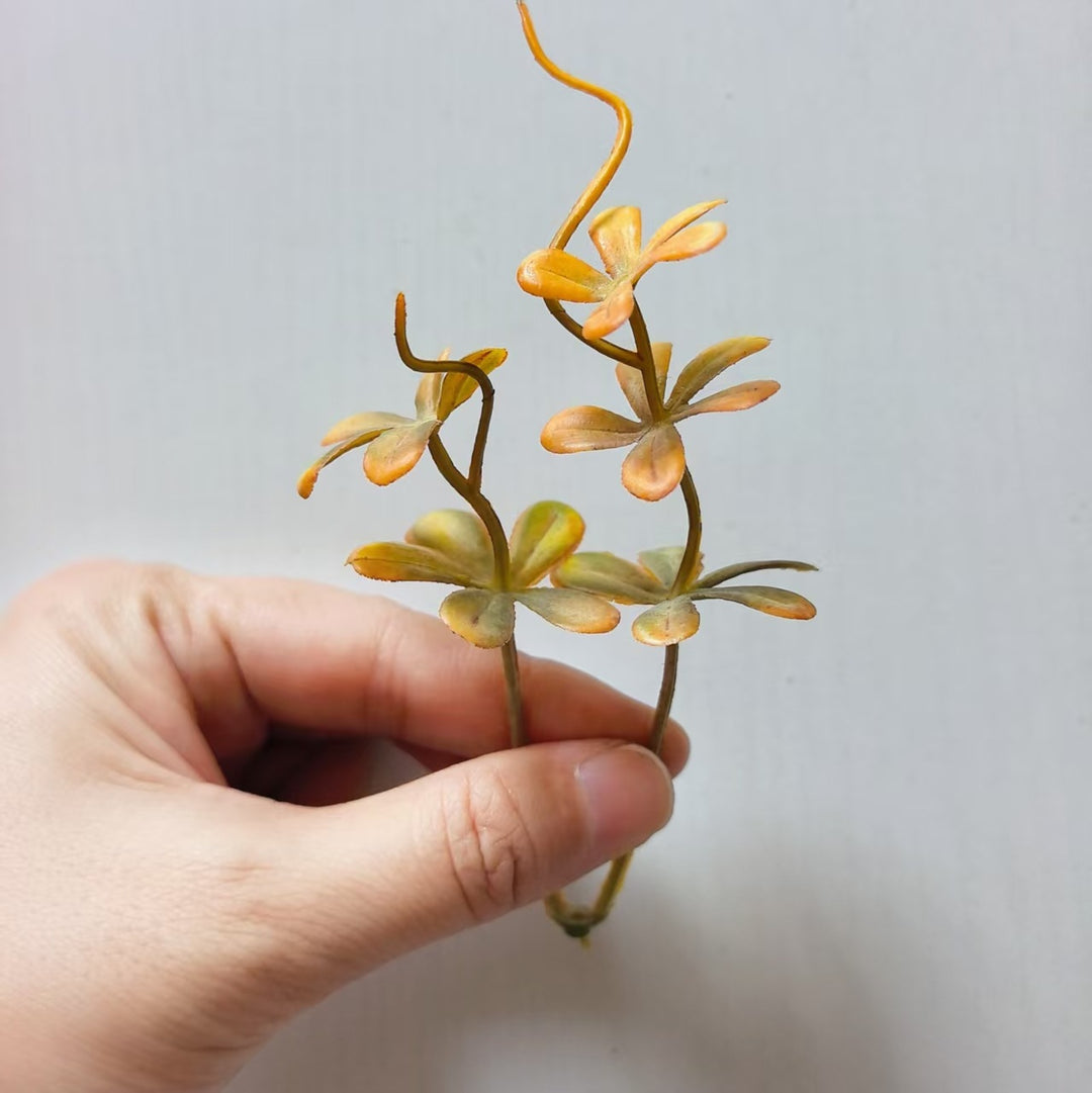 Decoratieve Succulent Arrangement