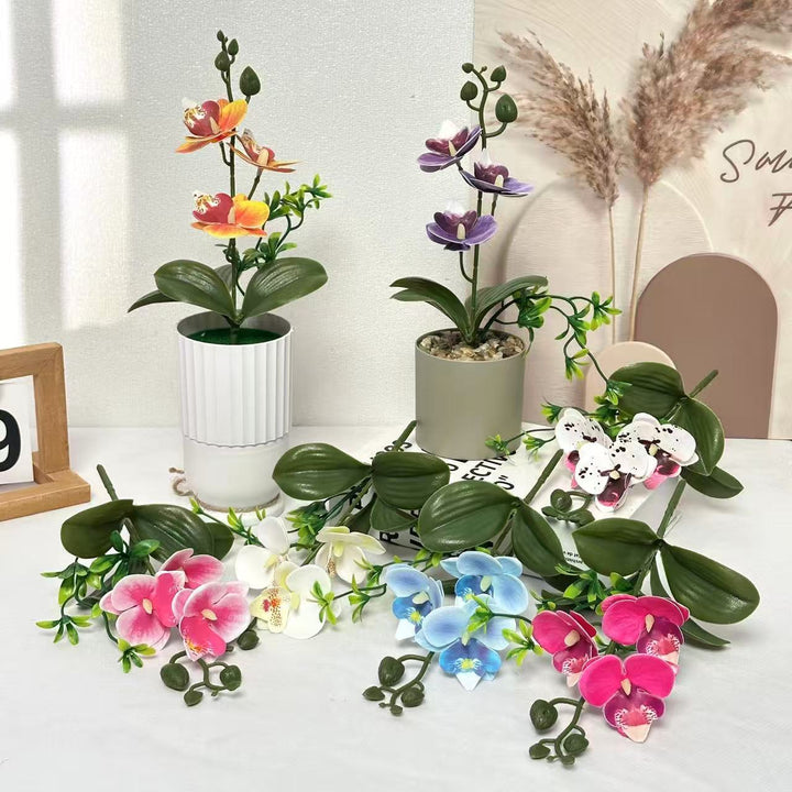 Elegante Orchideeën Bloemstuk