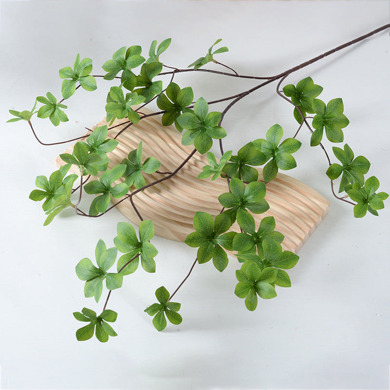Decoratieve Groene Plant
