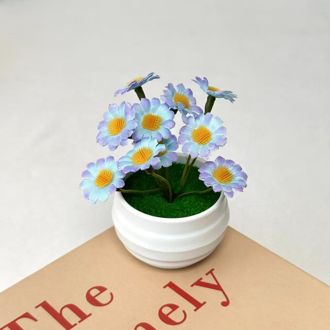 Decoratieve Daisy Plantenarrangement