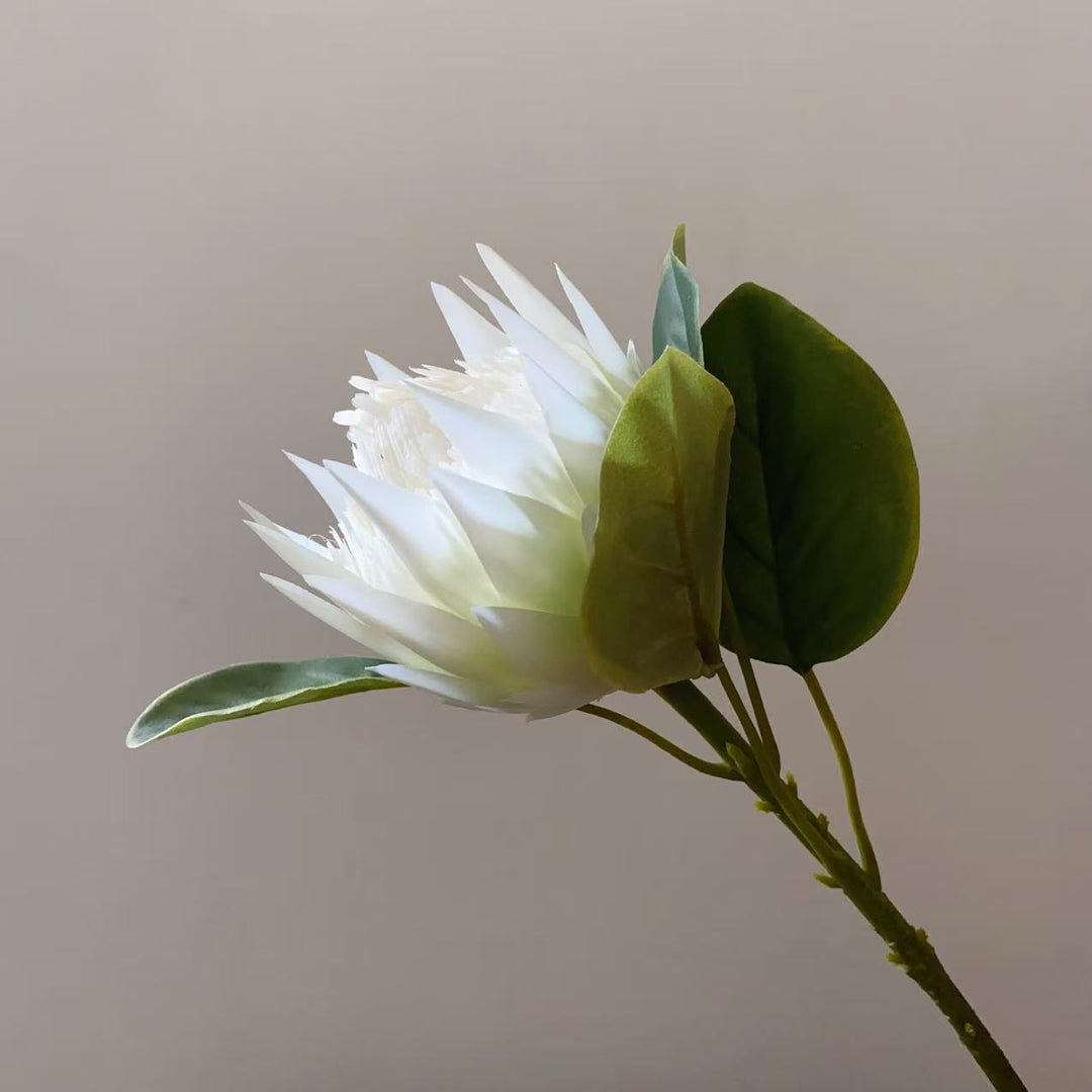 Levensechte Decoratieve Protea Bloemsteel