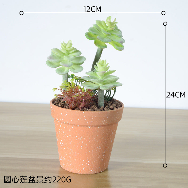 Kunstmatige Succulente Plantenarrangement