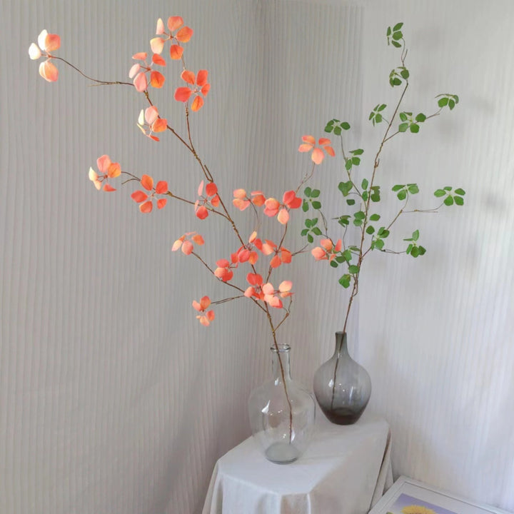 Natuurlijke Decoratieve Neptak