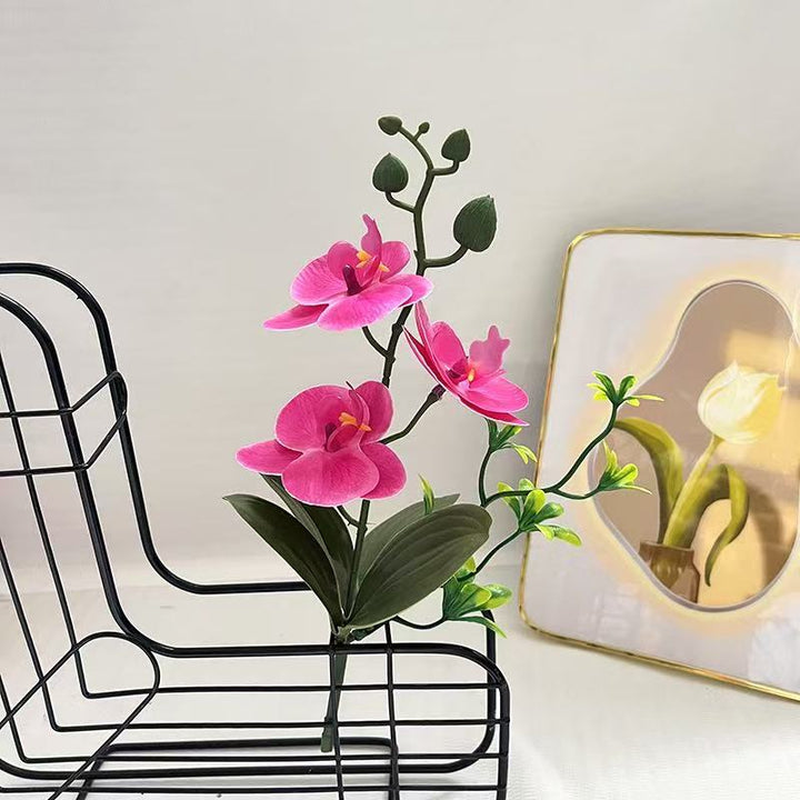 Levensechte Orchidee Arrangement