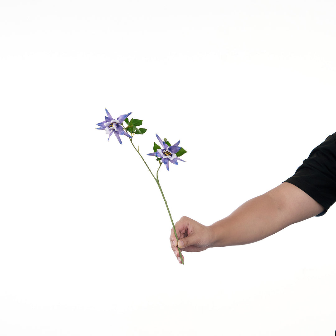 Levendige Multi-Bloom Bloemstengel