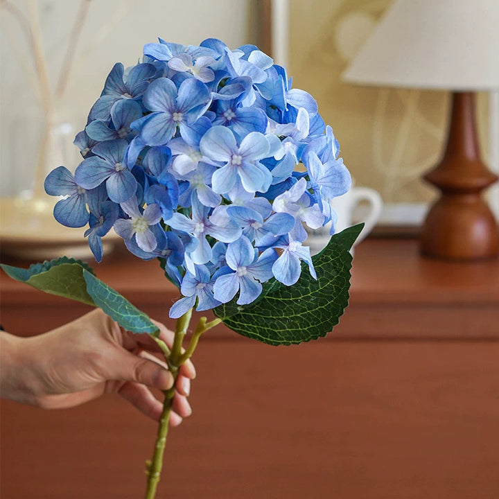 Hortensia Decoratieve Bloem Stem