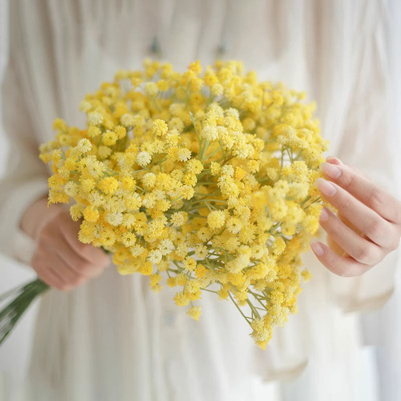 Elegante Bloemenstengel