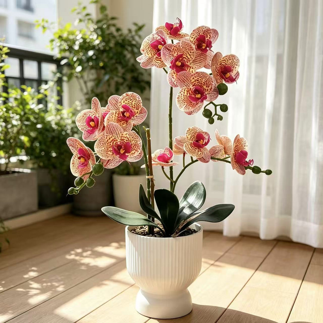 Levensgrote Orchidee Bloemdecoratie