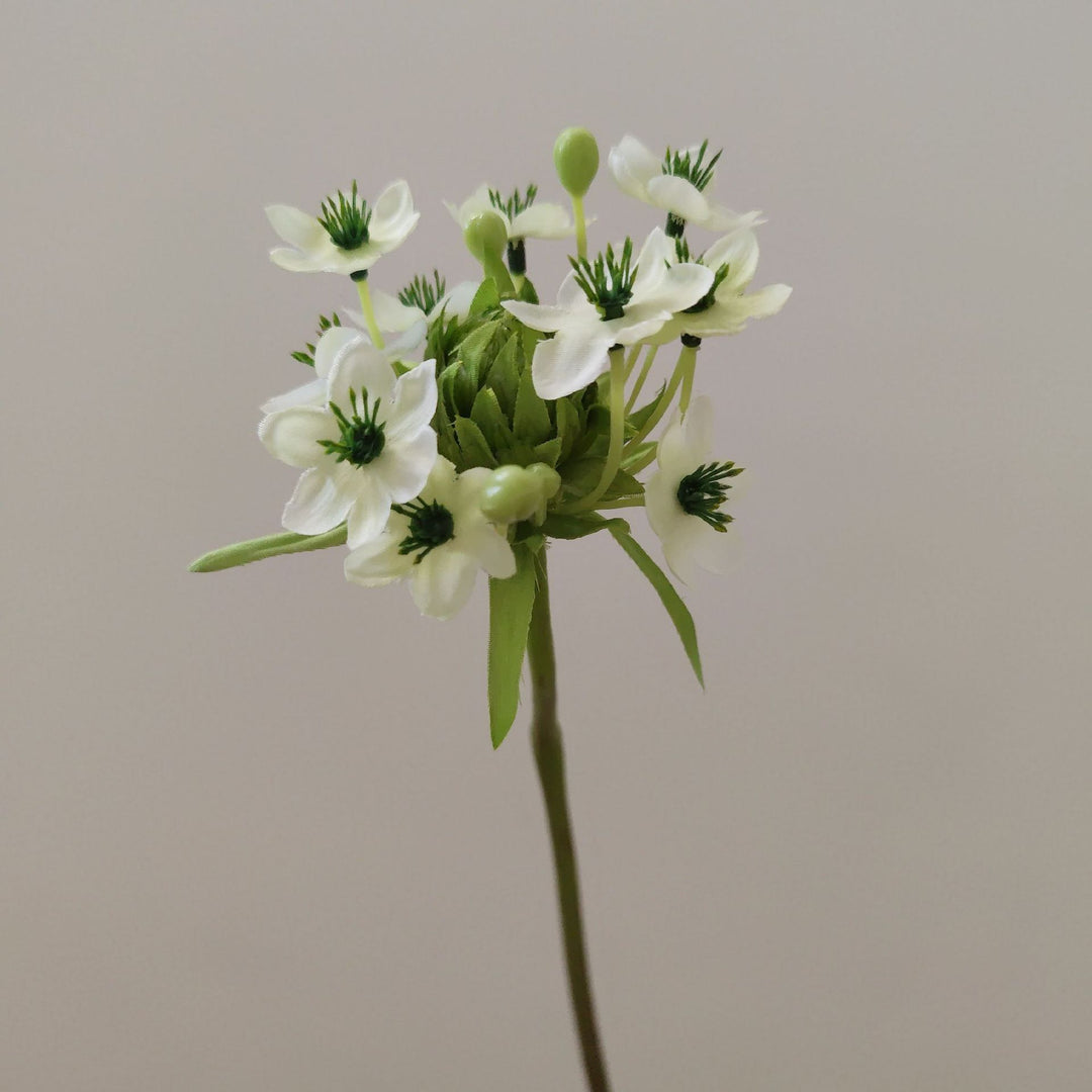 Decoratieve Bloemenboeket