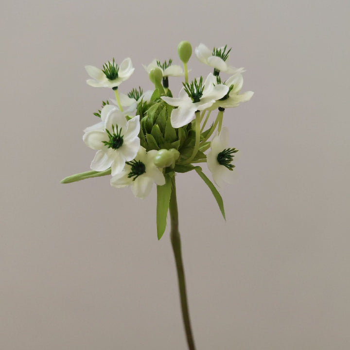 Decoratieve Bloemenboeket