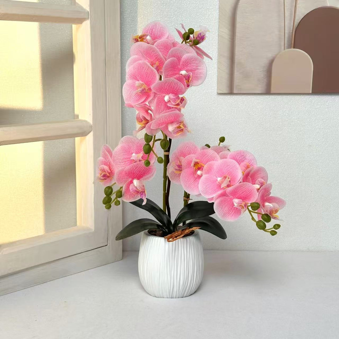 Levensechte Decoratieve Orchidee Arrangement voor Tafel Decor