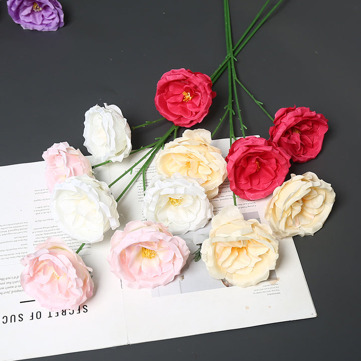 Elegante Zijde Bloemstengel voor Thuisdecoratie Display