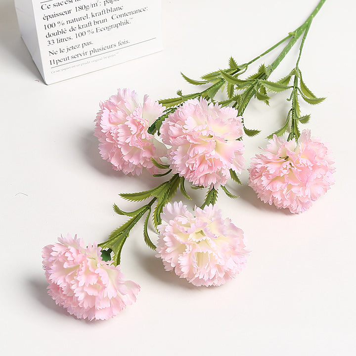 Realistische Bloemen Anjers Boeket