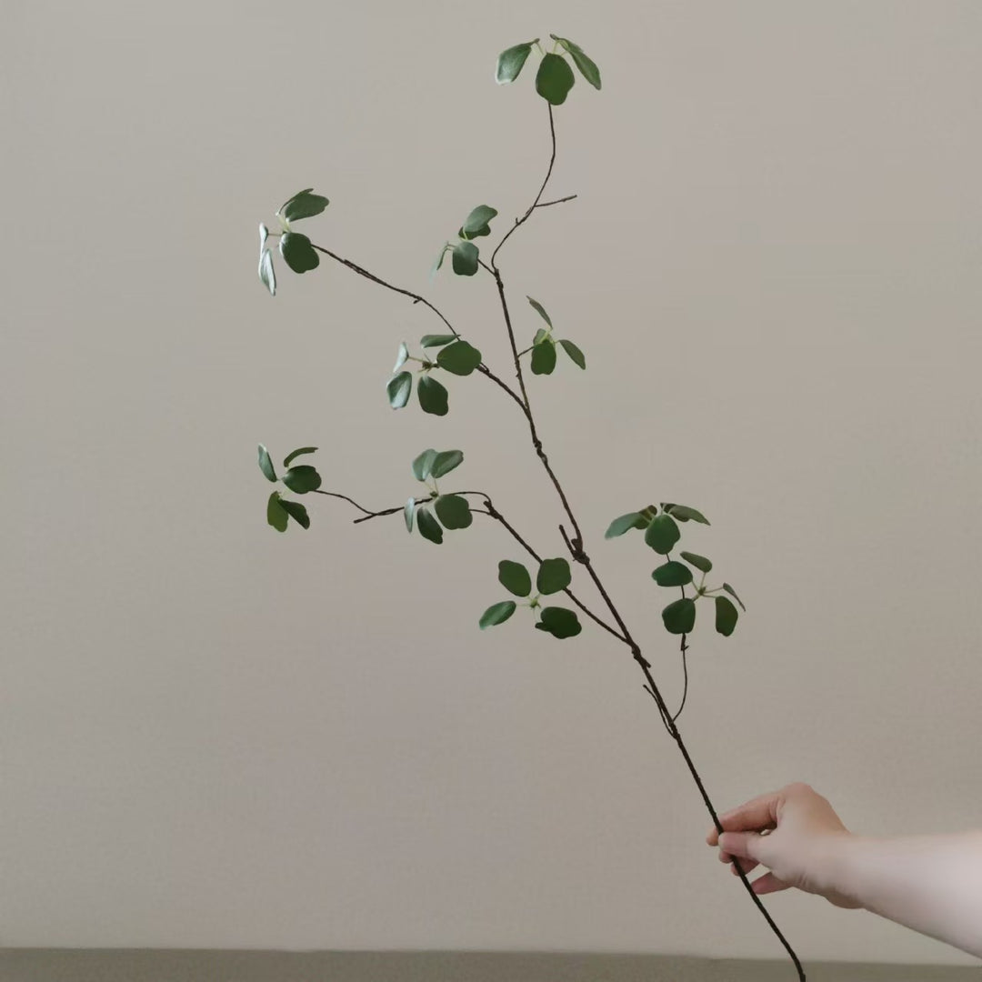 Natuurlijke Decoratieve Neptak