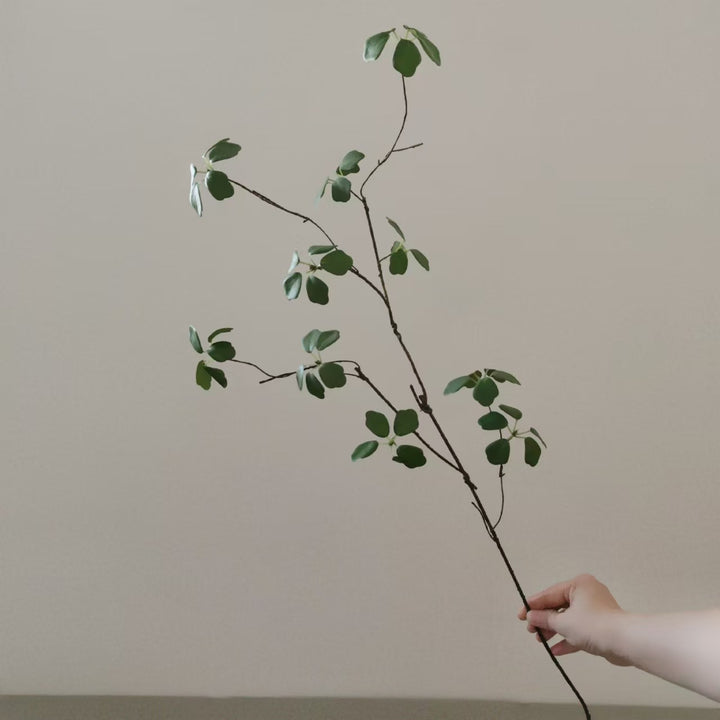Natuurlijke Decoratieve Neptak