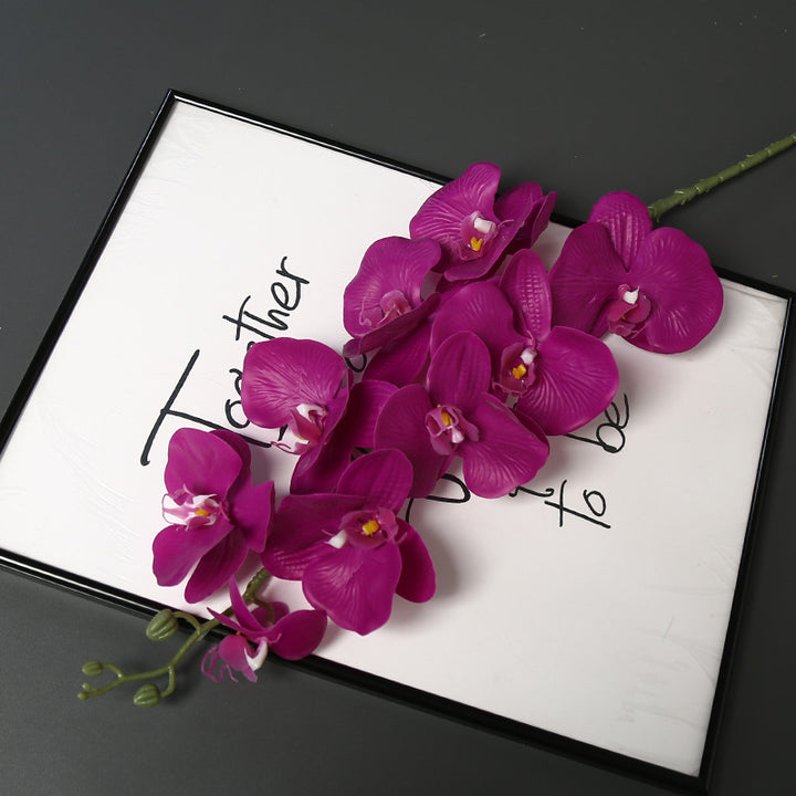 Nepatuur Orchidee Bloemsteel voor Woondecoratie Display