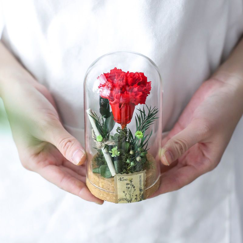 Decoratieve Paardenbloem Display