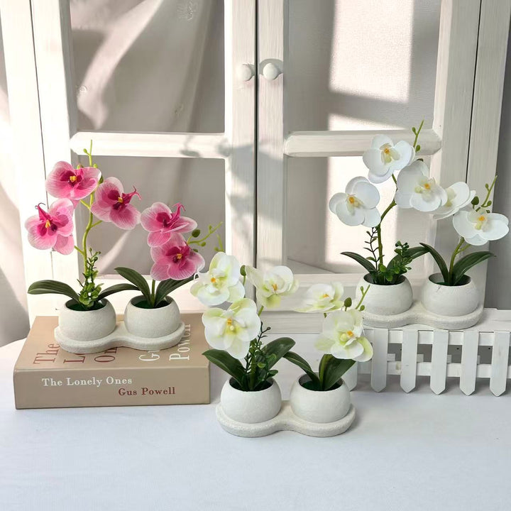 Elegante Nep-Orchidee Bloemendisplay