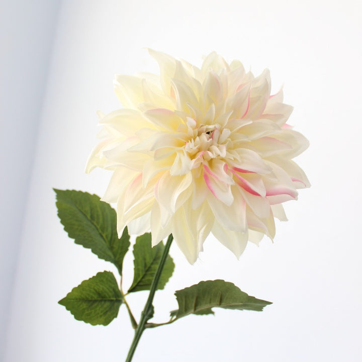 Levensechte Dahlia Bloemsteel