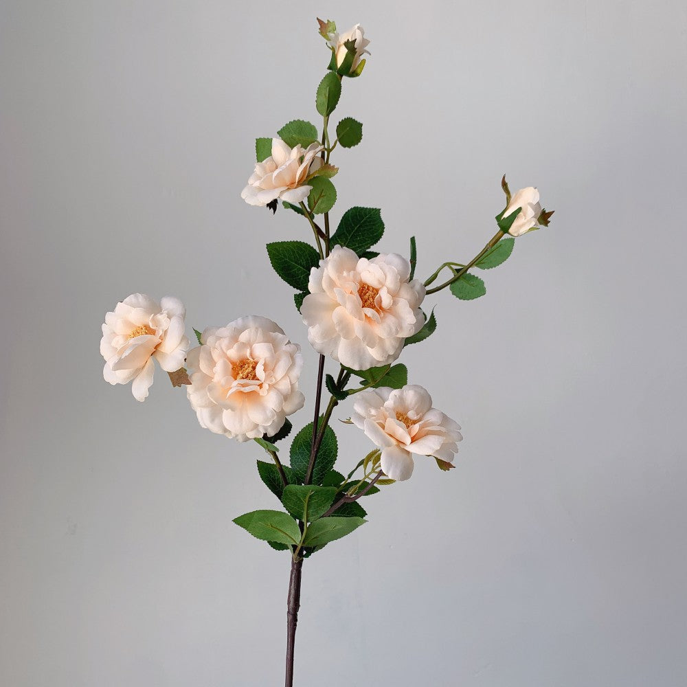 Levensgrote Bloemen Rozensteel