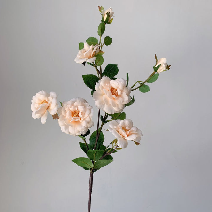 Levensgrote Bloemen Rozensteel