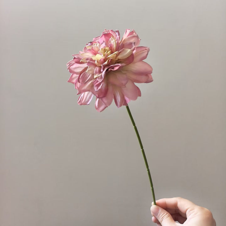 Levensechte Dahlia Steel