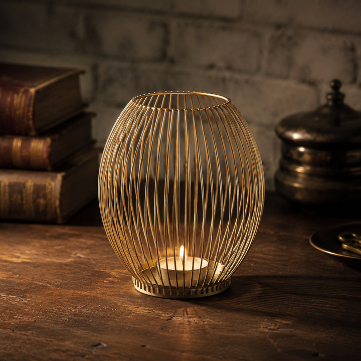 Sculptural Draad Huis Accent
