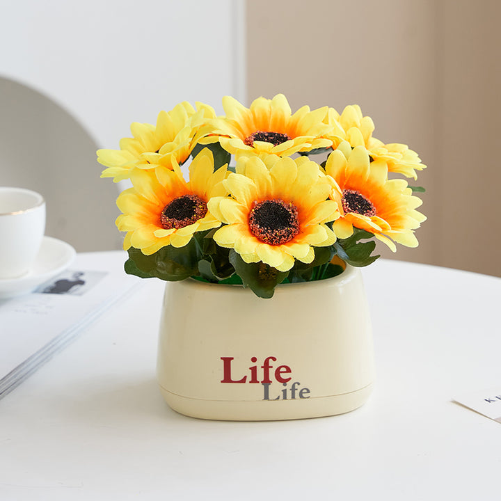 Decoratieve Nep Fruitplant