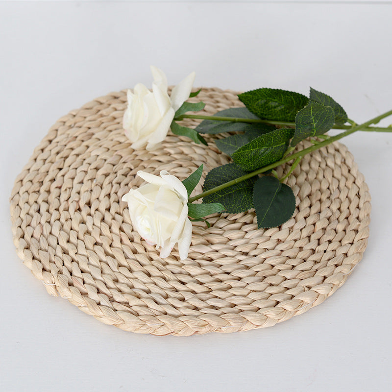 Decoratieve Realistische Rozenstelen