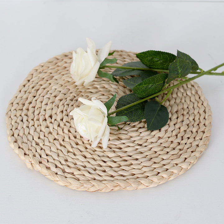Decoratieve Realistische Rozenstelen