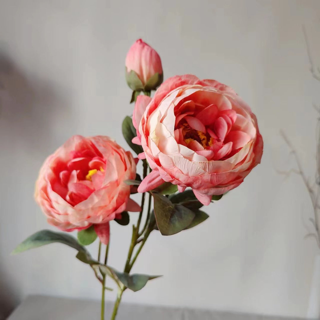 Elegante Pioenbloem Steel
