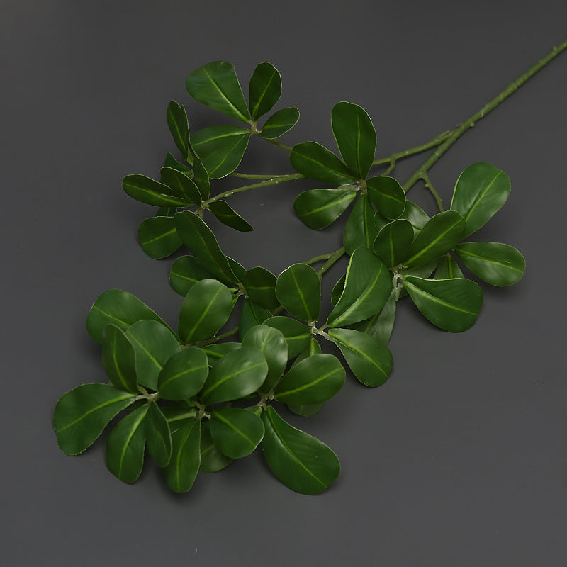 Decoratieve Groene Klimplant voor Binnenhuisdecoratie