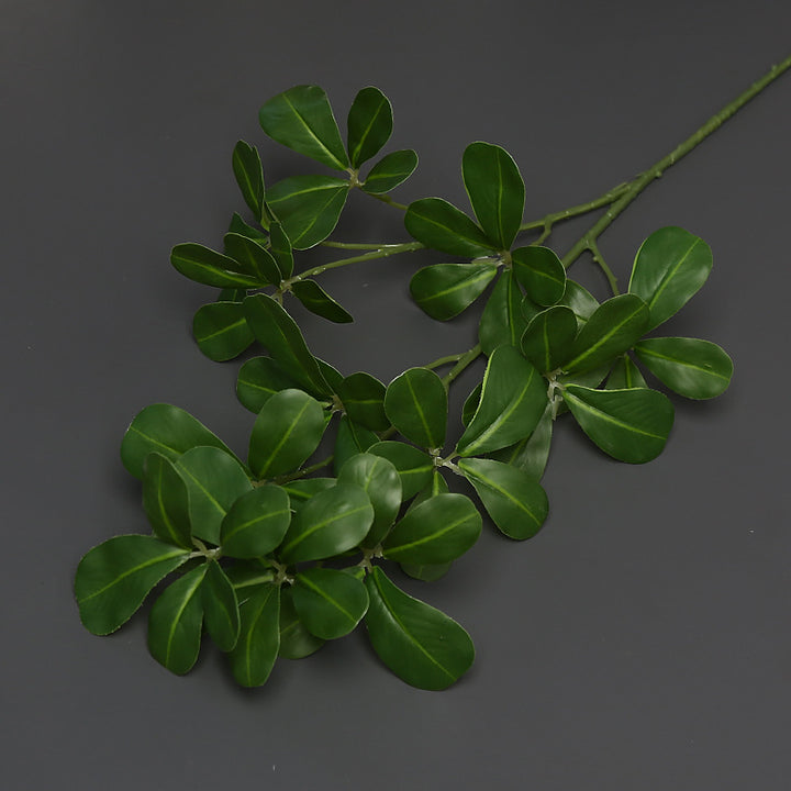 Decoratieve Groene Klimplant voor Binnenhuisdecoratie