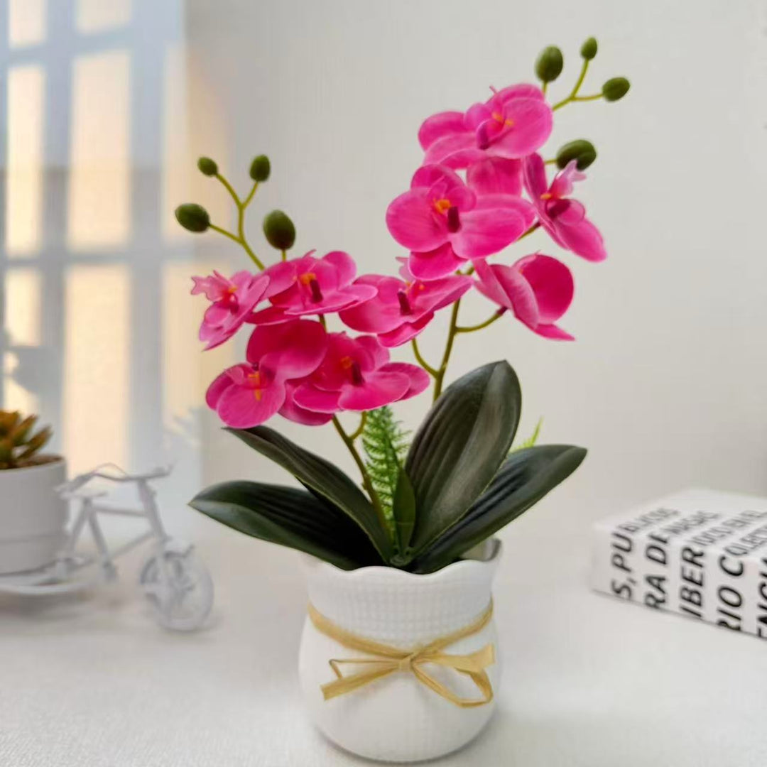Realistische Decoratieve Orchidee Plant