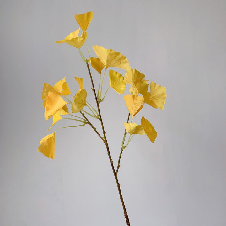 Ginkgo Biloba Decoratieve Tak