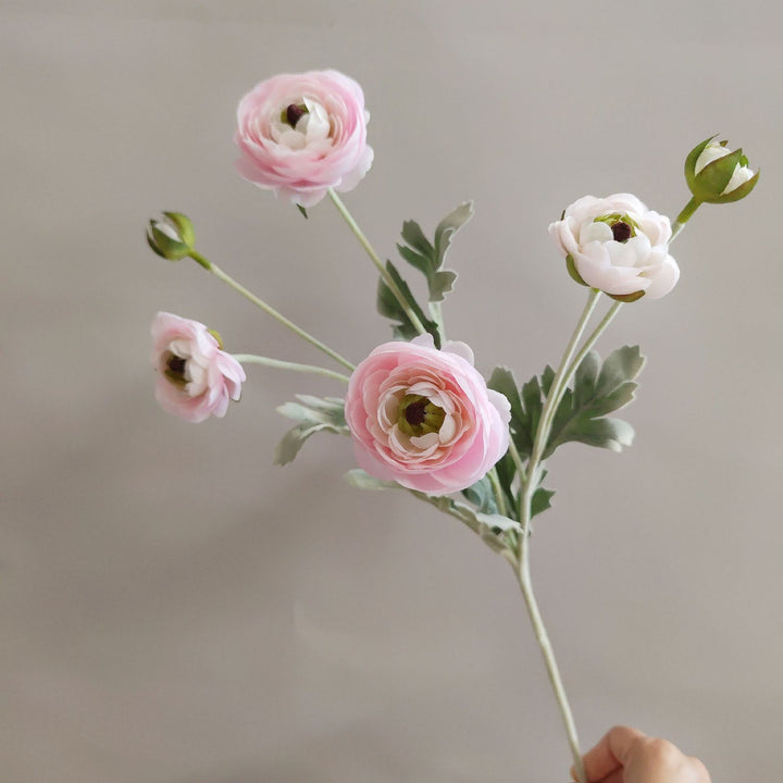Levensechte Ranunculus Bloemsteel